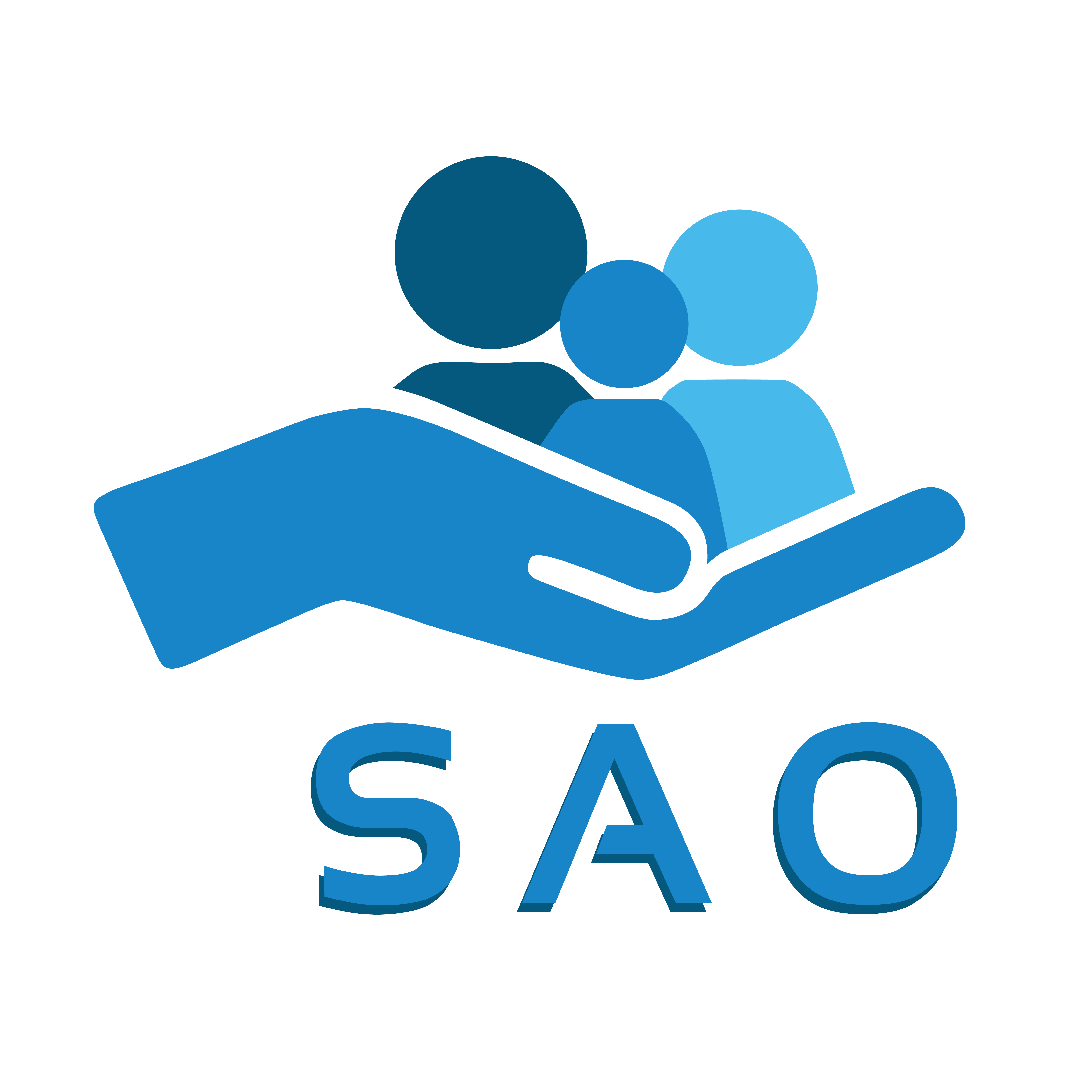 Sekcja Agencji Opieki